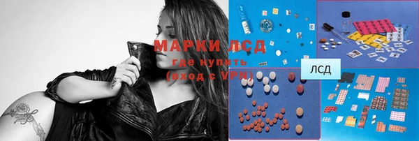 дживик Мегион