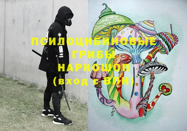 apvp Михайлов