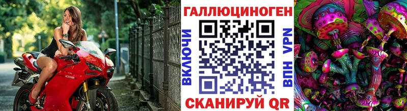 Купить  Нальчик  Псилоцибиновые грибы GOLDEN TEACHER 